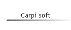 Carpi soft